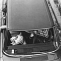 Baby In Car Coney, from the book Sometimes Overwhelming by Arlene Gottfried (1).jpg